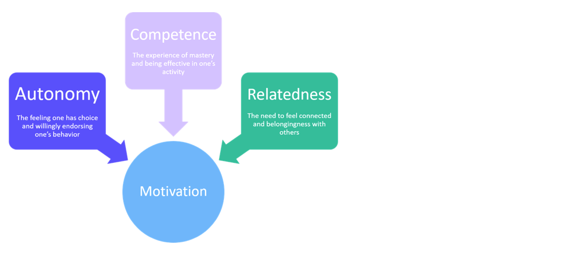 Self-Determination Theory